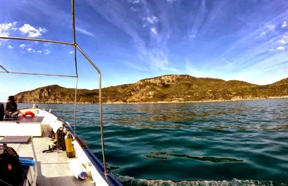 波爾圖·埃爾科萊