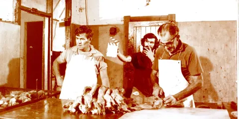 Texas Rabbit Factory