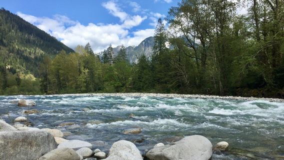 North Fork Skykomish River