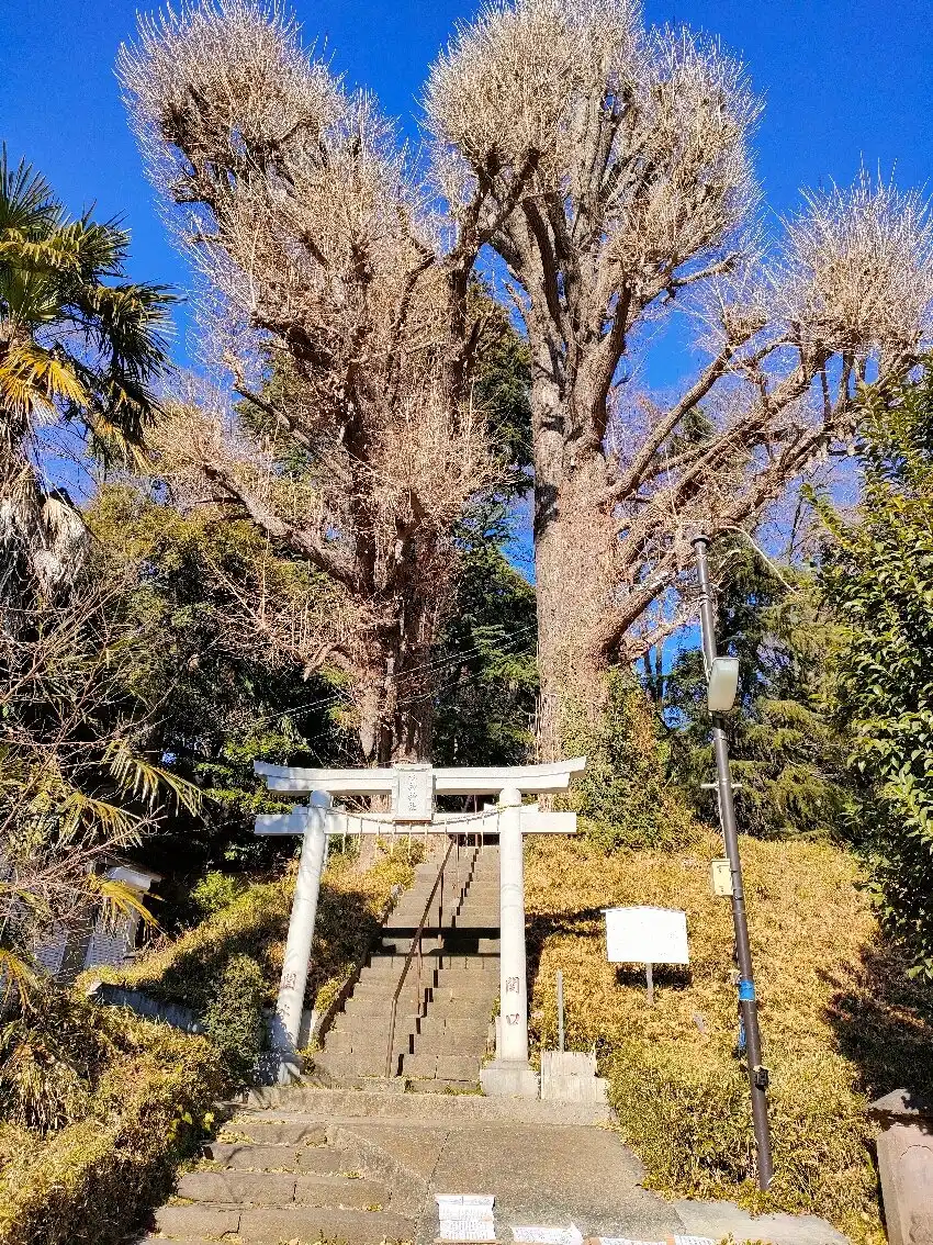 Hotel in zona Sui Shrine