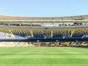 Estadio Ester Roa