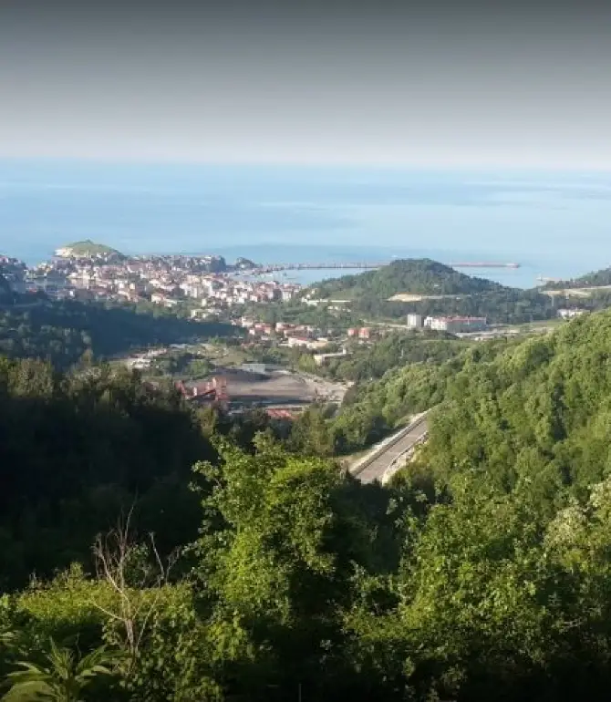 Inpiri Koyu