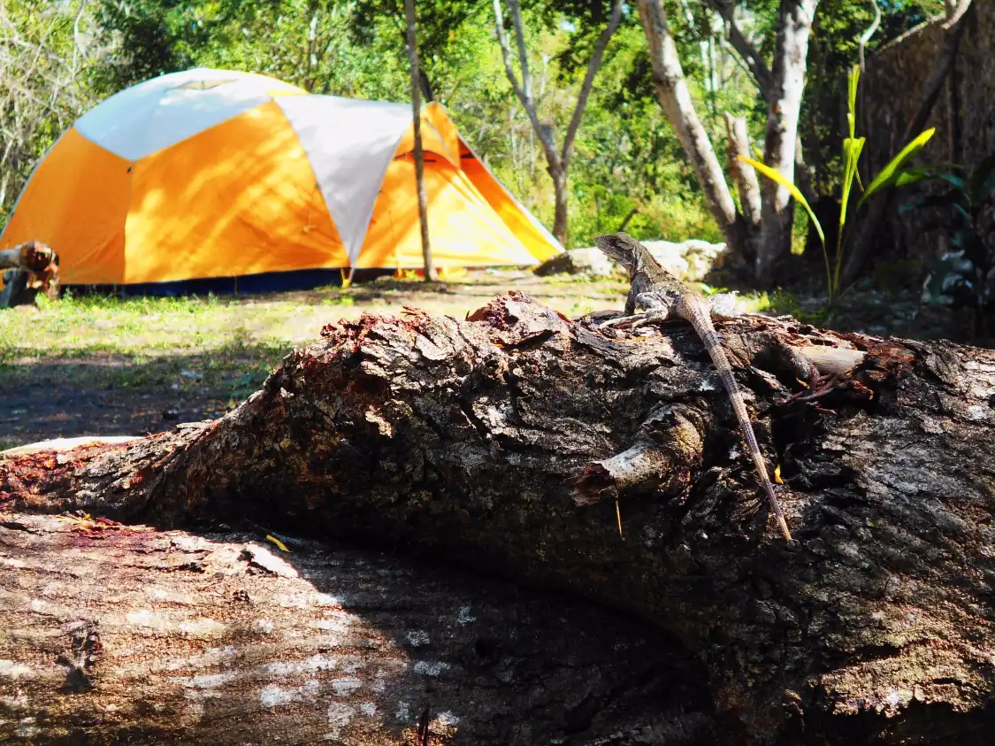 Hotels near Resilient Ecosystems Institute A.C.