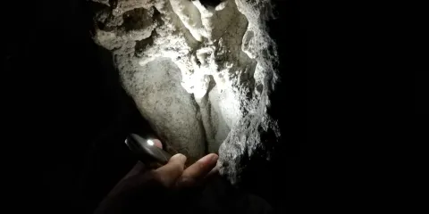 Cavita n° 34 - Grotta Azzurra