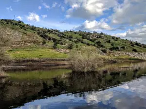 Kaweah Marina