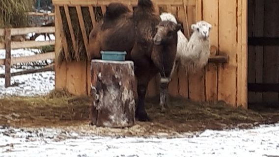 Eco-Park Dolina Volkov