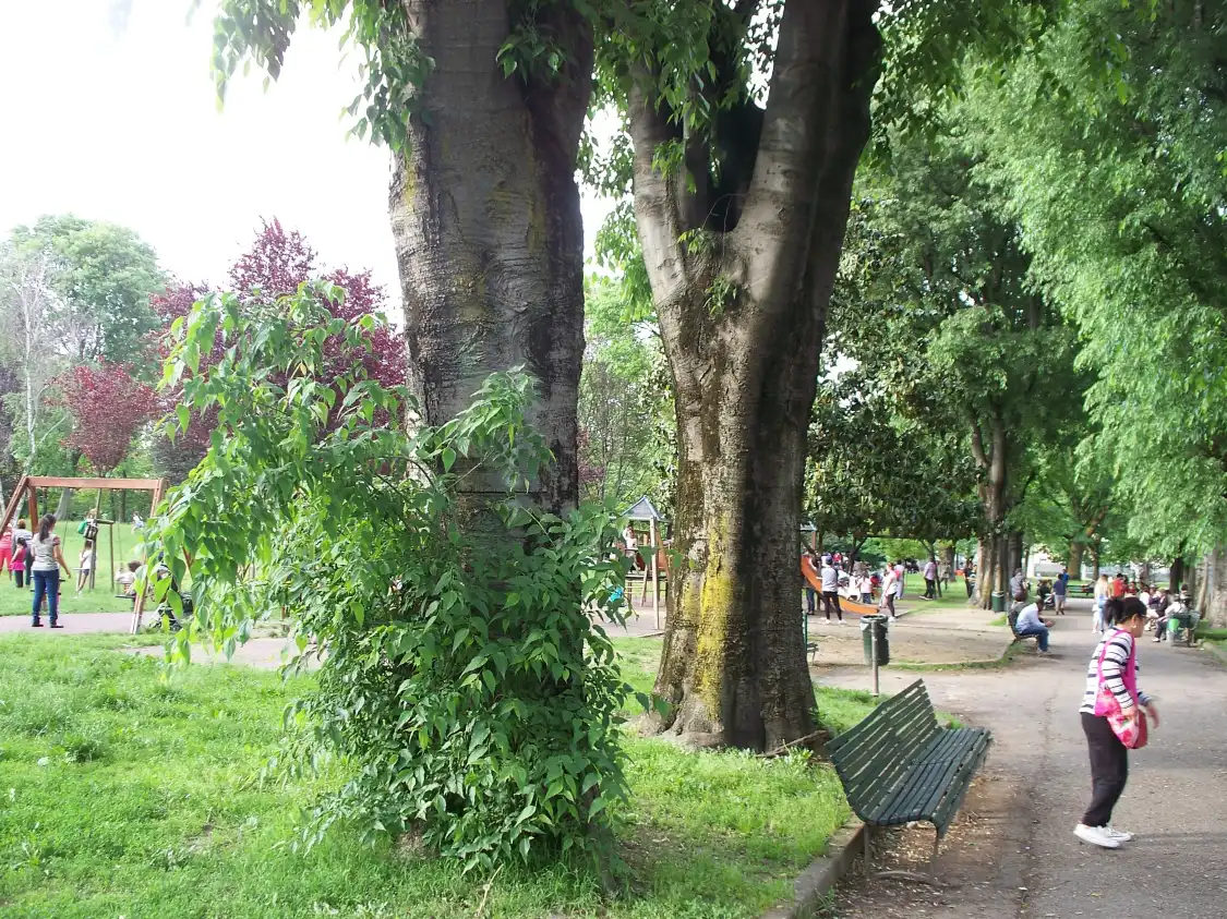 Hotels near Giovanni Testori Park