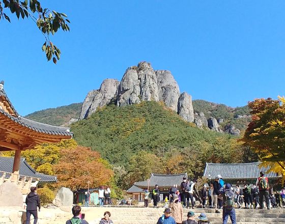 青松郡 自由行套票