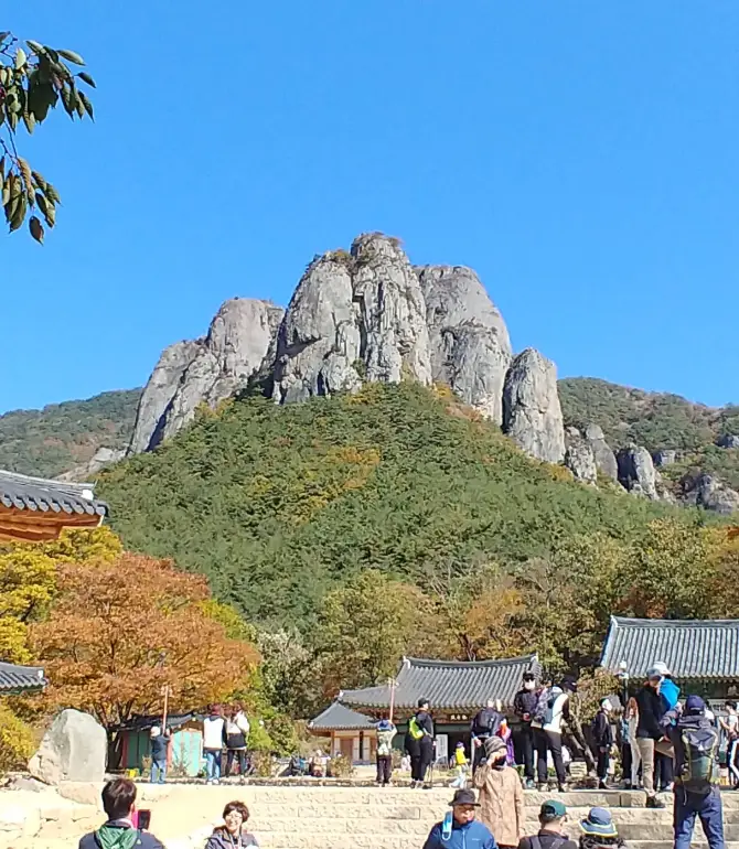 Cheongsong