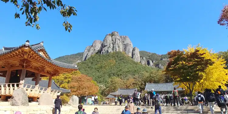 주왕산 국립공원 주변 호텔