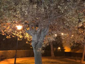 Parque El Huevo