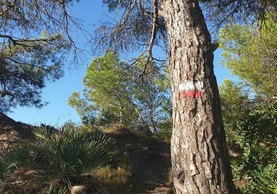 Atamaria