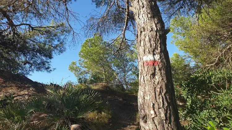 Hôtels à : Atamaria