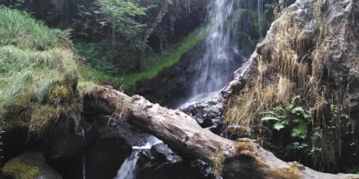 Cascade de la Planchette