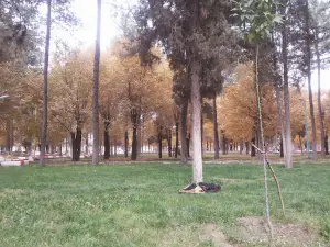 17Shahrivar Park