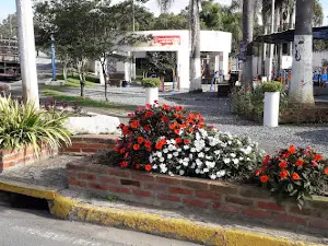 Praça da Raiz