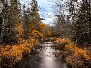 Mill Creek Nature Park