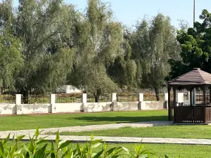 Muladah Public Park حديقة الملده العامة