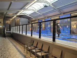 SprungFrei Trampolinpark