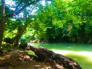 Tangkahan The Hidden Paradise