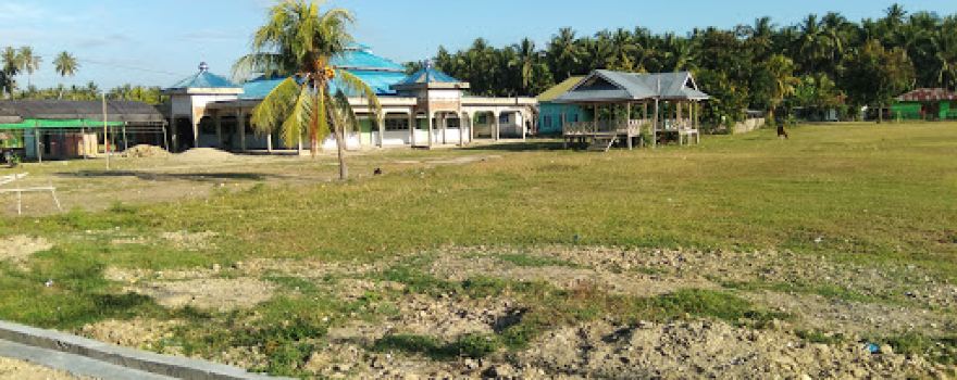 Masjid Desa Palapi