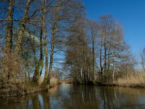 Wieża Widokowa Ptaków Niebieskich
