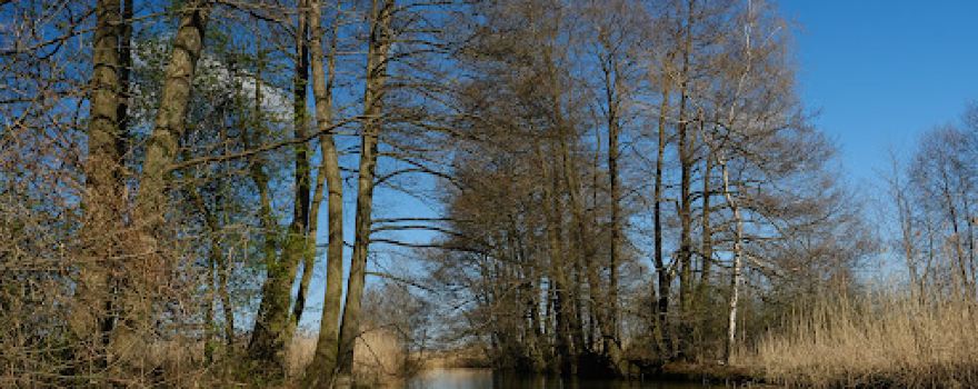 Wieża Widokowa Ptaków Niebieskich