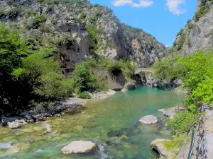 La Roya