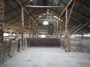 Mungo Visitor Centre