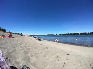 Collins Beach (clothing optional)