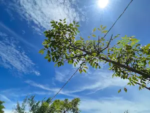 Pantai Pelangi