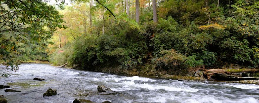 Chattooga River Trail (trail-head)