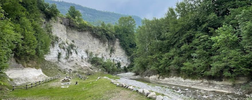 Sentiero della Foresta Fossile