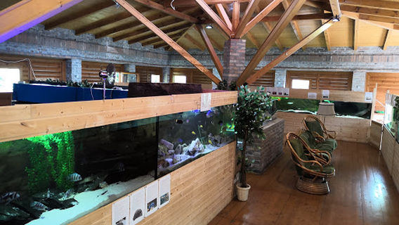 Akvárium Terrárium Hévíz