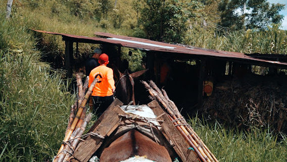 CAMINOS Y PARAJES TRAVEL