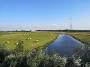 Haseldorfer Binnenelbe mit Elbvorland
