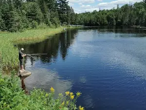 Munro Park Campgrounds