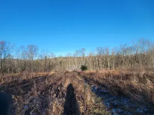 Woodbourne Forest And Wildlife Preserve