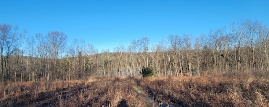 Woodbourne Forest And Wildlife Preserve