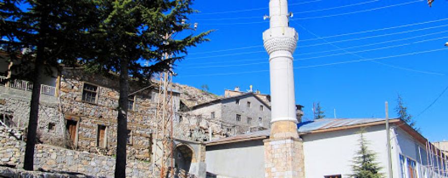Aşağı Hadim Cami