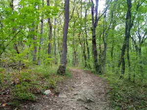 Svyatoy Istochnik