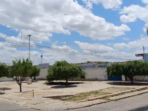 Salgueirão