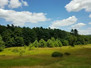 Whitney Point Multiple Use Area