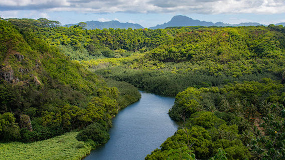 Opaeka‘a Falls