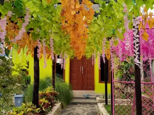 Naureen Mini Garden