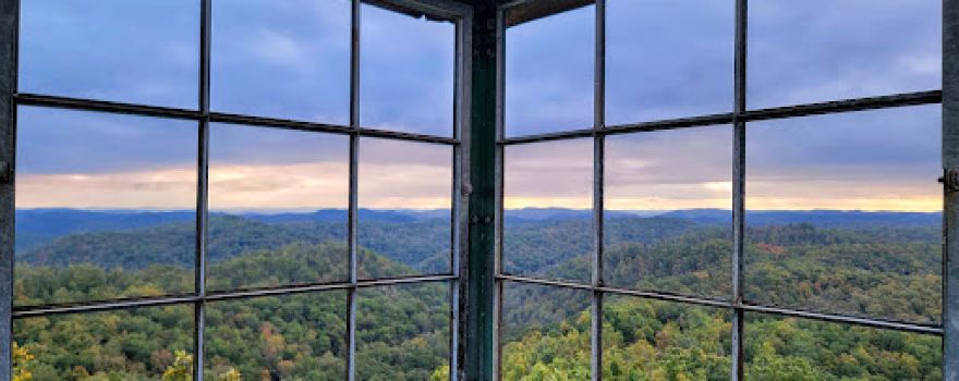 Cabwaylingo State Forest