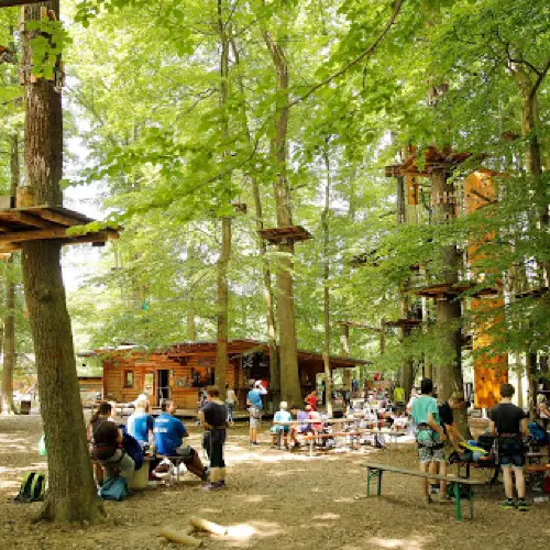 Fun Forest AbenteuerPark Homburg