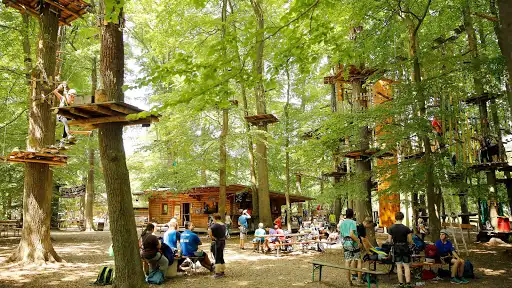 Fun Forest AbenteuerPark Homburg