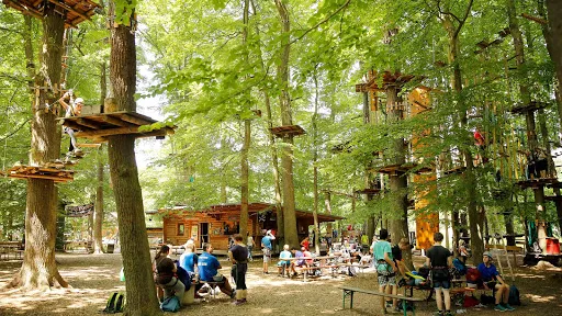 Fun Forest AbenteuerPark Homburg