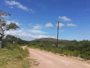 El Carrizal